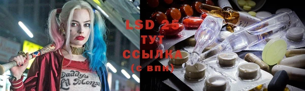 a pvp Инсар