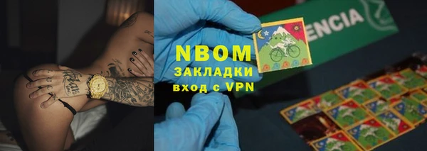 стафф Инта