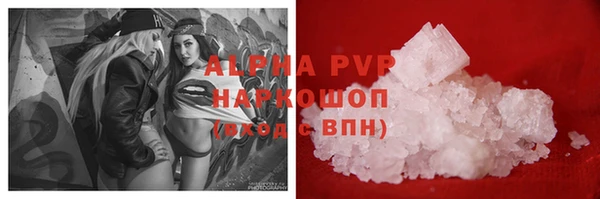 стафф Инта