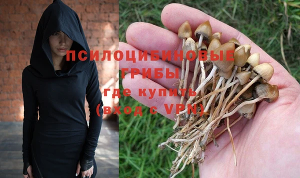 прущая мука Каменка