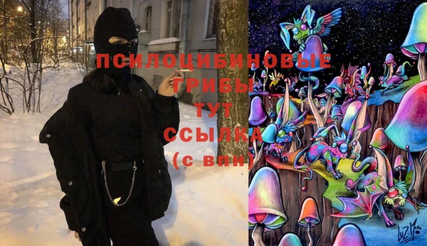 стафф Инта