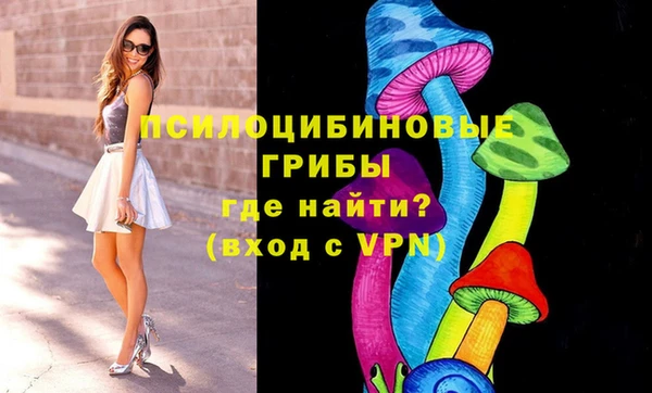 a pvp Инсар