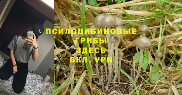 стафф Инта