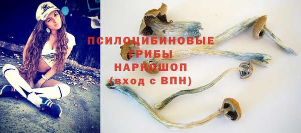 стафф Инта