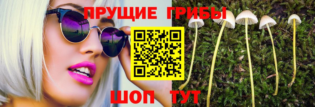 Галлюциногенные грибы Psilocybe  Вход с VPN  Южноуральск 